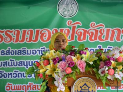 ต้อนรับรองผู้ว่าราชการจังหวัดนราธิวาส บ้านกำปงปีแซ