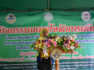 ต้อนรับรองผู้ว่าราชการจังหวัดนราธิวาส บ้านกำปงปีแซ