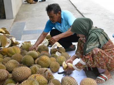 โครงการเฉลิมพระเกียรติวันแม่แห่งชาติ ประจำปี2561