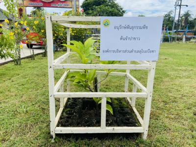 ทางองค์การบริหารส่วนตำบลลุโบะบือซา ได้อนุรักษ์พันธ์พืชประจำตำบล