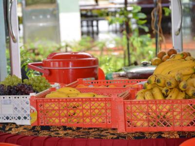 โครงการทัศนศึกษาดูงานเพื่อเพิ่มศักยภาพครูสอนตาดีกา ต.ลุโบะบือซา