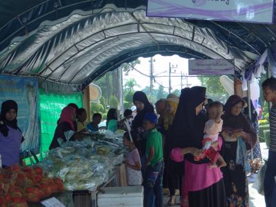 โครงการอันเนื่องพระราชดำริ