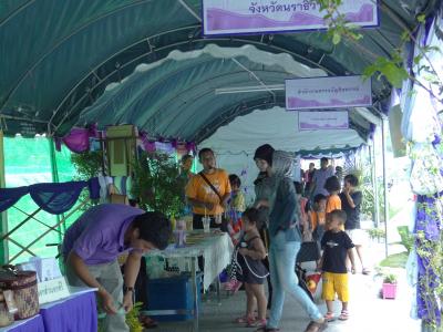 โครงการอันเนื่องพระราชดำริ