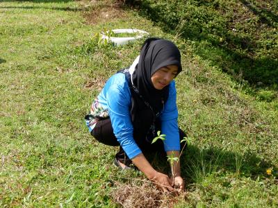 โครงการท้องถิ่นปูกป่าเฉลิมพระเกียรติสมเด็จพระนางเจ้าสิริกิติ์