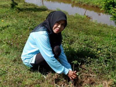 โครงการท้องถิ่นปูกป่าเฉลิมพระเกียรติสมเด็จพระนางเจ้าสิริกิติ์