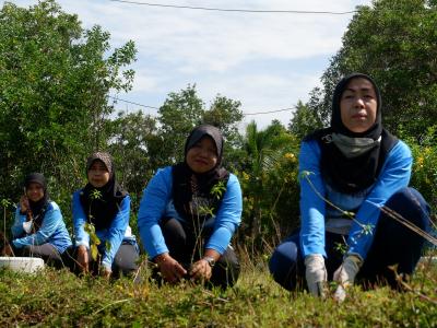 โครงการท้องถิ่นปูกป่าเฉลิมพระเกียรติสมเด็จพระนางเจ้าสิริกิติ์