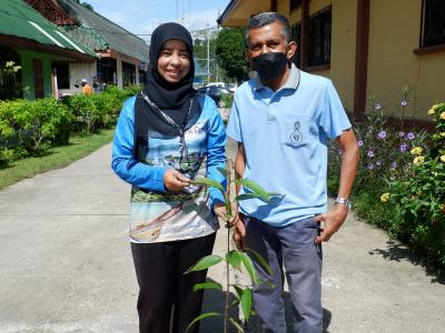 โครงการท้องถิ่นปูกป่าเฉลิมพระเกียรติสมเด็จพระนางเจ้าสิริกิติ์