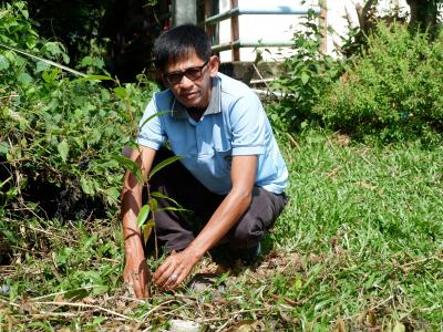 โครงการท้องถิ่นปูกป่าเฉลิมพระเกียรติสมเด็จพระนางเจ้าสิริกิติ์