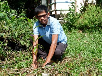 โครงการท้องถิ่นปูกป่าเฉลิมพระเกียรติสมเด็จพระนางเจ้าสิริกิติ์