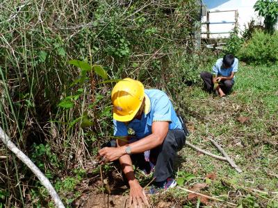 โครงการท้องถิ่นปูกป่าเฉลิมพระเกียรติสมเด็จพระนางเจ้าสิริกิติ์