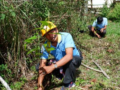 โครงการท้องถิ่นปูกป่าเฉลิมพระเกียรติสมเด็จพระนางเจ้าสิริกิติ์