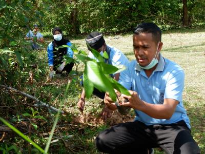 โครงการท้องถิ่นปูกป่าเฉลิมพระเกียรติสมเด็จพระนางเจ้าสิริกิติ์