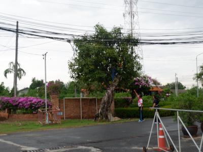 โครงการฝึกอบรมอาสาสมัครป้องกันภัยฝ่ายพลเรือน