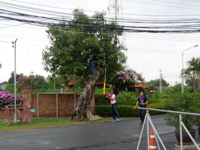 โครงการฝึกอบรมอาสาสมัครป้องกันภัยฝ่ายพลเรือน