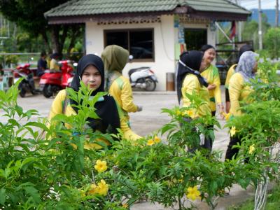 กิจกรรมจิตอาสา ณ องค์การบริหารส่วนตำบลลุโบะบือซา