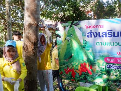 โครงการส่งเสริมปลูกผักสวนครัว ตามแนวปรัชญาเศรษฐพอเพียง