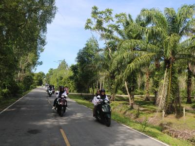 โครงการรณรงค์26 ต่อต้านยาเสพติดและโคงการสวมหมอกกัน100 เปอรเซอนร์