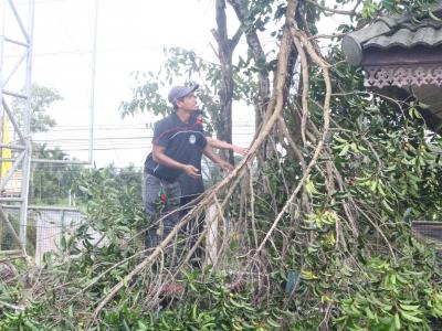 เจ้าหน้าที่พัฒนาบริเวณองค์การบริหารส่วนตำบลลุโบะบือซา