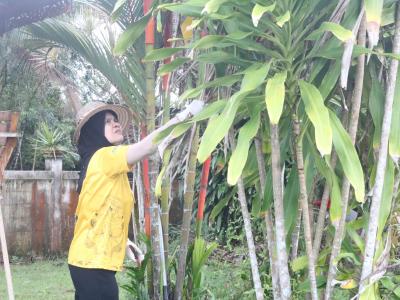 เจ้าหน้าที่พัฒนาบริเวณองค์การบริหารส่วนตำบลลุโบะบือซา
