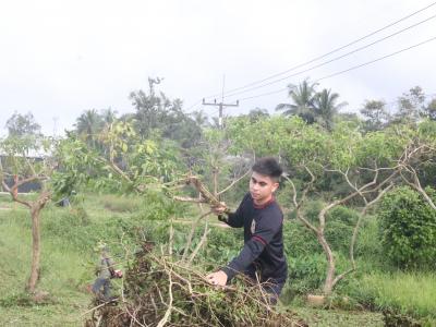 เจ้าหน้าที่พัฒนาบริเวณองค์การบริหารส่วนตำบลลุโบะบือซา