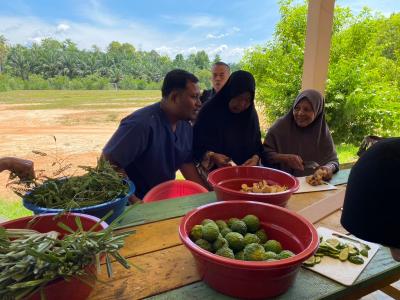 โครงการพัฒนาภูมิปัญญาท้องถิ่นด้านสมุนไพรในผู้สูงอายุและผู้พิการ