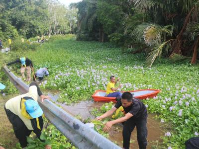 กิจกรรมจิตอาสา กำจัดผักตบชวา