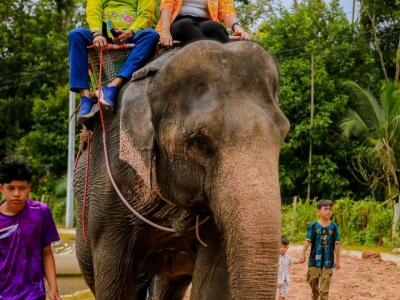 เปิดพิธีงานย้อนรอยบาตู เชิดชูวิถีลุโบะบือซา ครั้งที่2