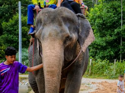 กิจกรรม ย้อนรอยบาตู เชิดชูวิถีลุโบะบือซา ครั้งที่2