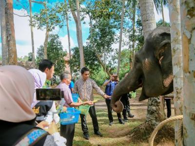 ย้อนรอยบาตู เชิดชูวิถีลุโบะบือซา ครั้งที่2