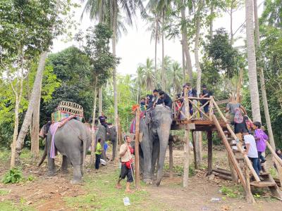Summer Khlong Batu