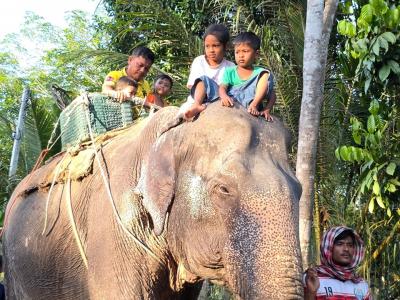 งานมินิคอนเสิร์ตประจำสัปดาห์ คลองบาตู