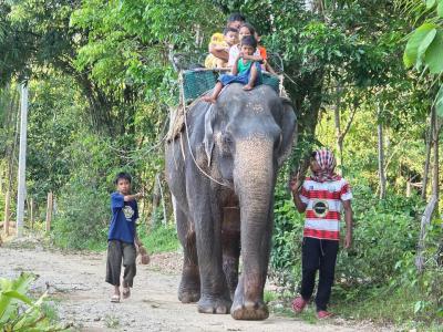 งานมินิคอนเสิร์ตประจำสัปดาห์ คลองบาตู