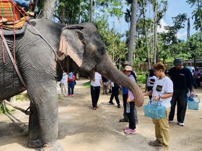 ร่วมต้อนรับเจ้าหน้าที่ สวท สุไหงโกลกลงพื้นที่ปางช้างคลองบาตู