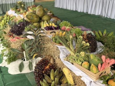 แผ่นดินธรรม แผ่นดินทอง
