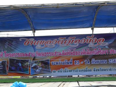 กิจกรรมงานของดีเมืองยี่งอ